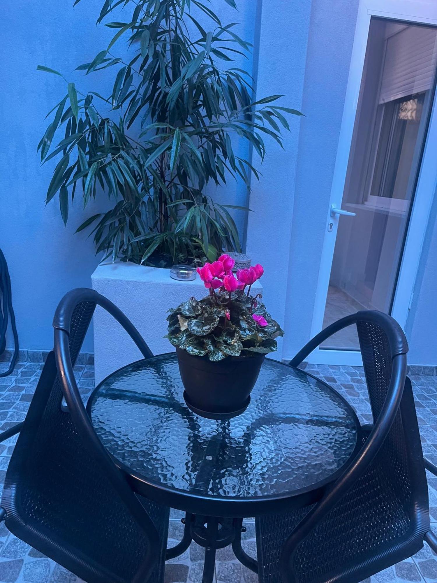 Konstantina'S Apartment 알렉산드로폴리스 외부 사진